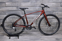2025 Giant Escape Disc 4