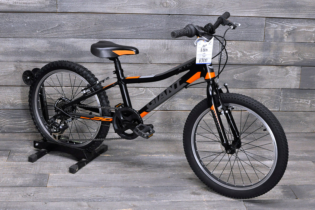 20" Giant XTC JR