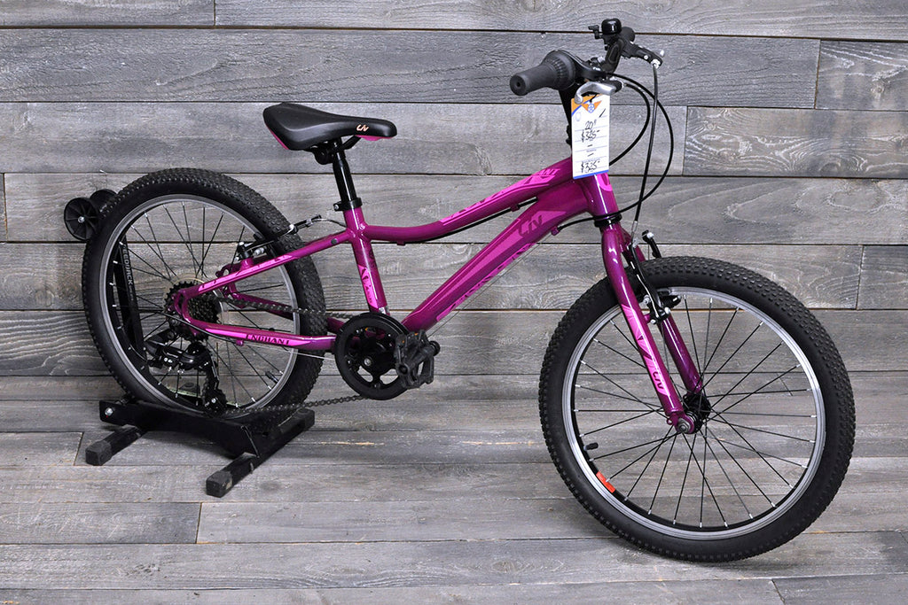 20" Liv Enchant
