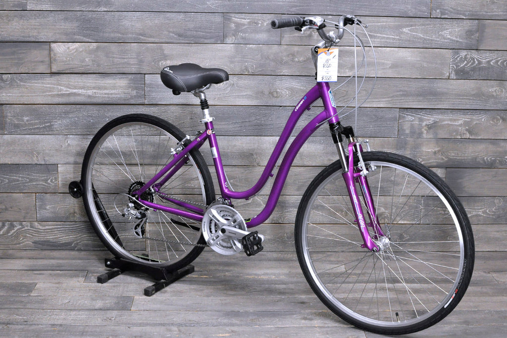 18" Jamis Citizen 2