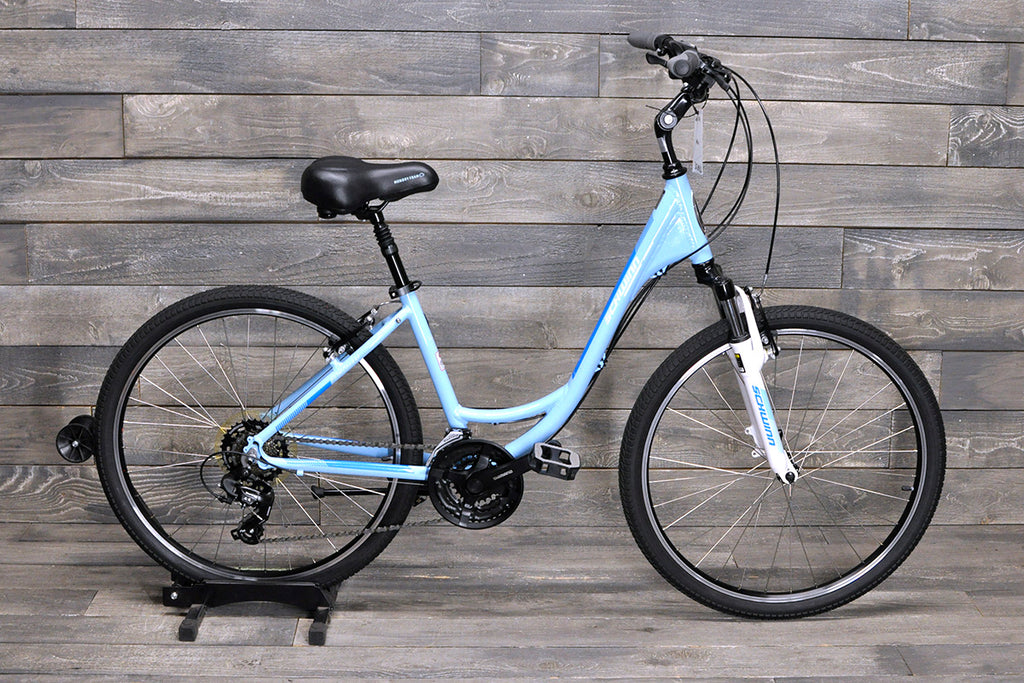 Medium Schwinn Fordham