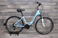Medium Schwinn Fordham