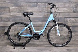 Medium Schwinn Fordham