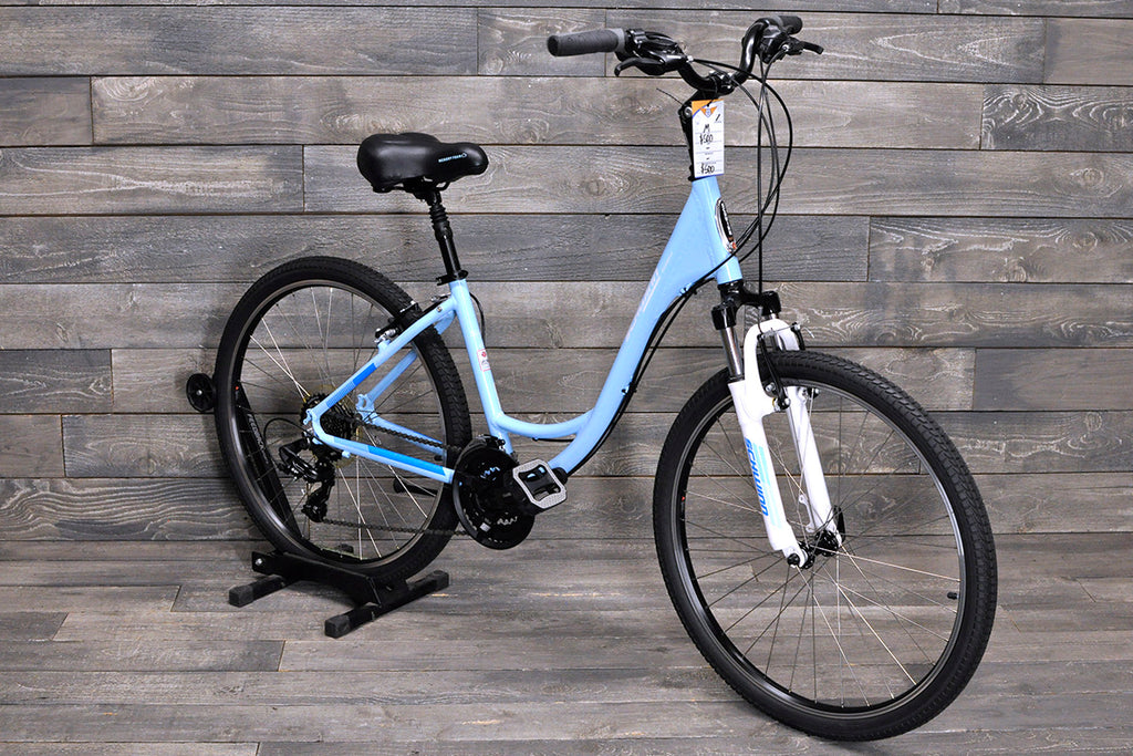 Medium Schwinn Fordham