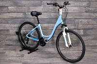 Medium Schwinn Fordham