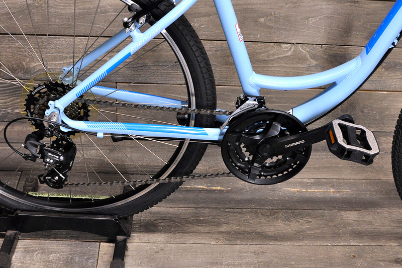 Medium Schwinn Fordham