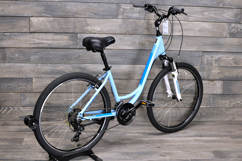 Medium Schwinn Fordham