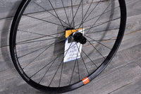 29" Astral Serpentine - DT Swiss 350 Superboost Rear Wheel