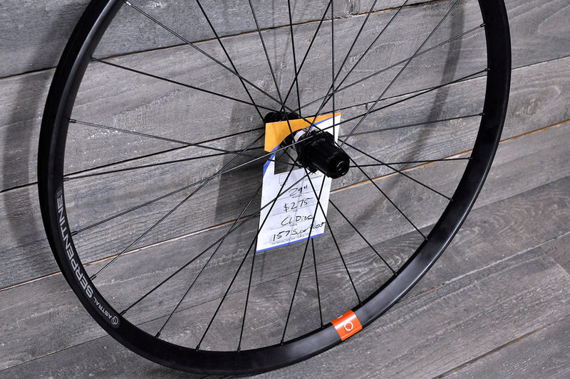 29" Astral Serpentine - DT Swiss 350 Superboost Rear Wheel