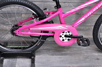 20" Specialized Hot Rock