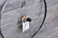 700c Shimano 600 Rear Wheel